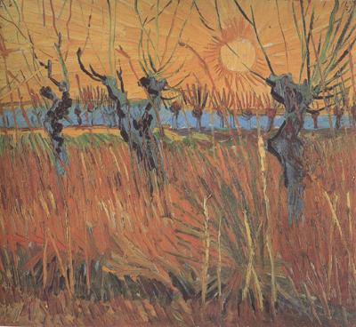 Vincent Van Gogh Willows at Sunset (nn04) France oil painting art